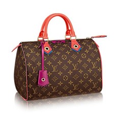 Louis Vuitton M41665 Speedy 30 Totem Tote Bag Lona Monogram